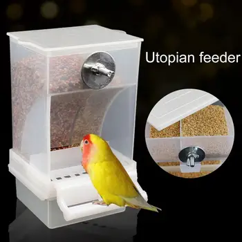 חצי-סגורה הציפורים איזון של מזון תצפית הציפורים מרווח אוטומטי ציפור מזין עבור ציפורים קטנות בלי בלאגן